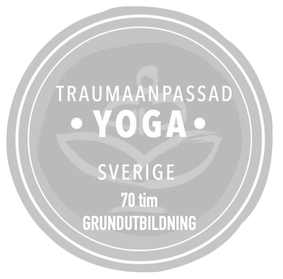 logo 70
